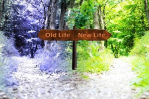 自分がやりたくない嫌なことを積極的にやると成長も2倍になる