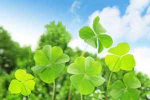 人生はお金があれば幸せになれる?幸せになれない?