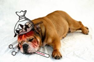 バンドマンが気を付けたいウイルスやインフルエンザについて