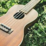 ウクレレの魅力と初心者におすすめのウクレレ3選