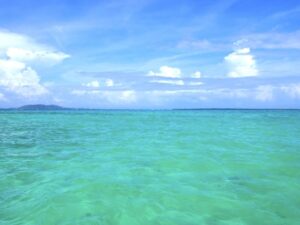 本田健さんの本を読んでから自分の好きなことやって生きようと決心できた理由について