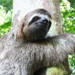 人は怠ける！継続するためには目標や後先のメリットも考えて行動することが大事