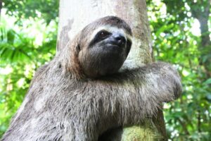 人は怠ける!継続するためには目標や後先のメリットも考えて行動することが大事