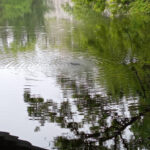 雨の日につい聞きたくなるおすすめの癒しのソング10選を紹介!