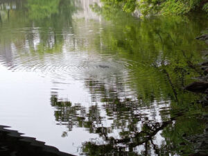 雨の日につい聞きたくなるおすすめの癒しのソング10選を紹介!